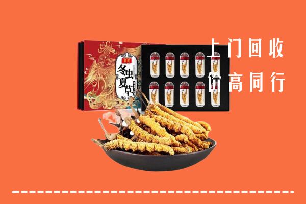 长春朝阳区回收虫草